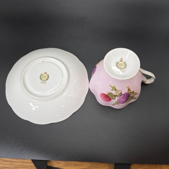 Vintage Queen’s Rosina Thistle Teacup and Saucer Set Gold Trim England - Picture 10 of 11